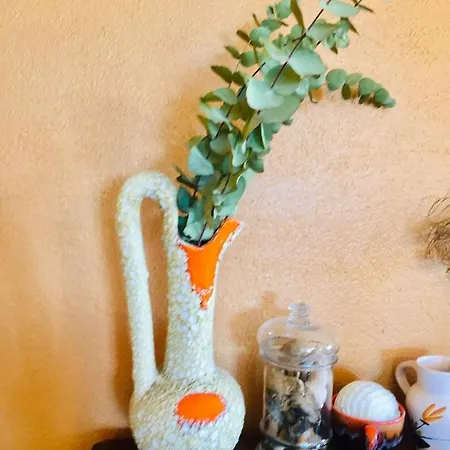 Gaou Benat, Village Des Fourches, Label Patrimoine Xxe Siecle Дом отдыха Борм-ле-Мимоза