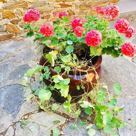 Дом отдыха Gaou Benat, Village Des Fourches, Label Patrimoine Xxe Siecle Борм-ле-Мимоза